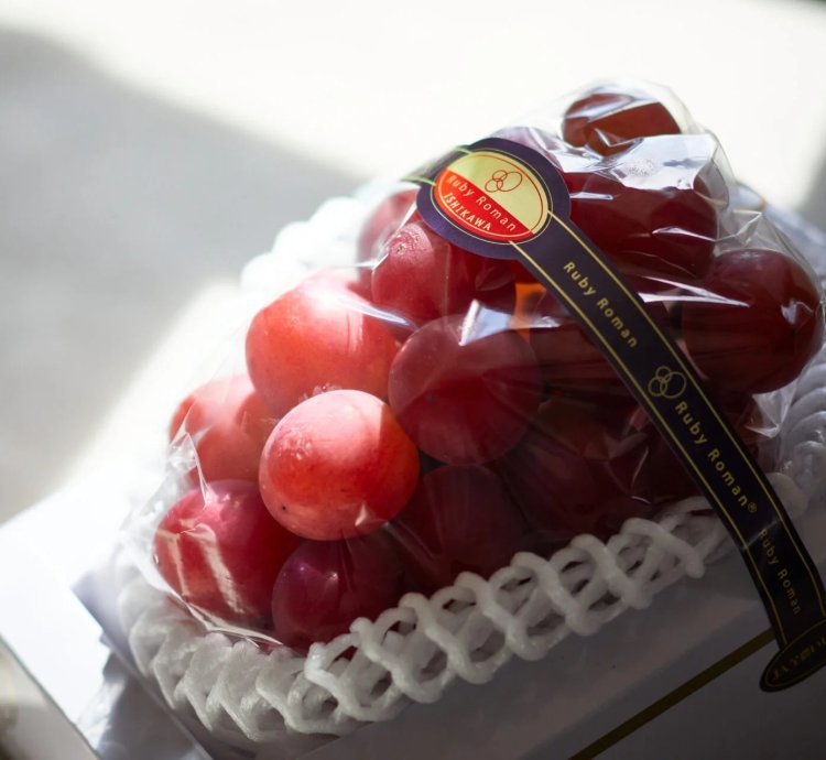 Japanese Ruby Roman Grape Plant - Grafted Premium Luxury Grape Plant
