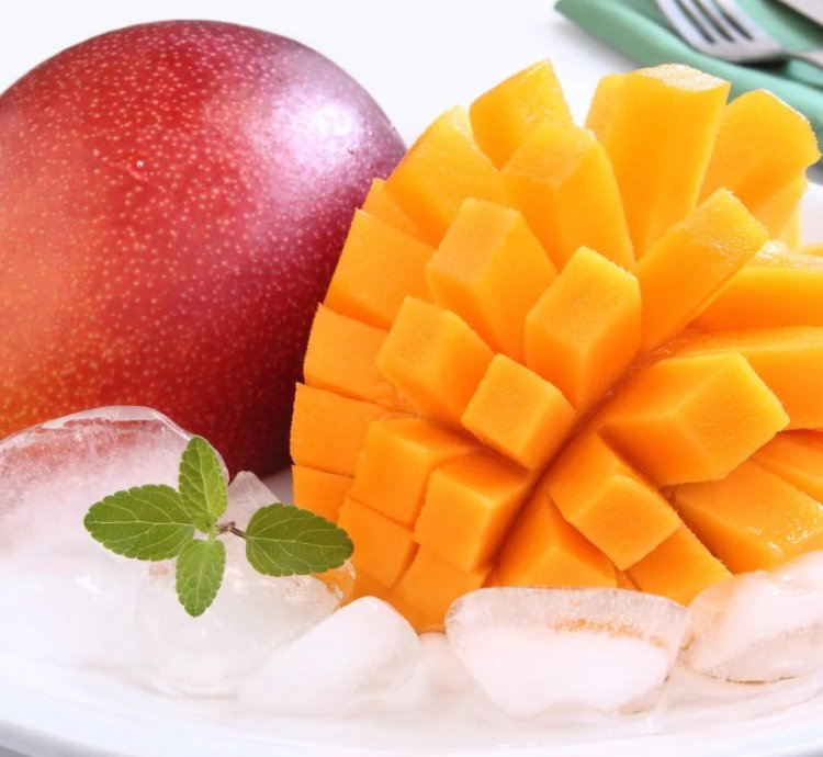 Miyazaki Mango Grafted Live Plant - Premium Taiyo no Tamago - Egg of the sun