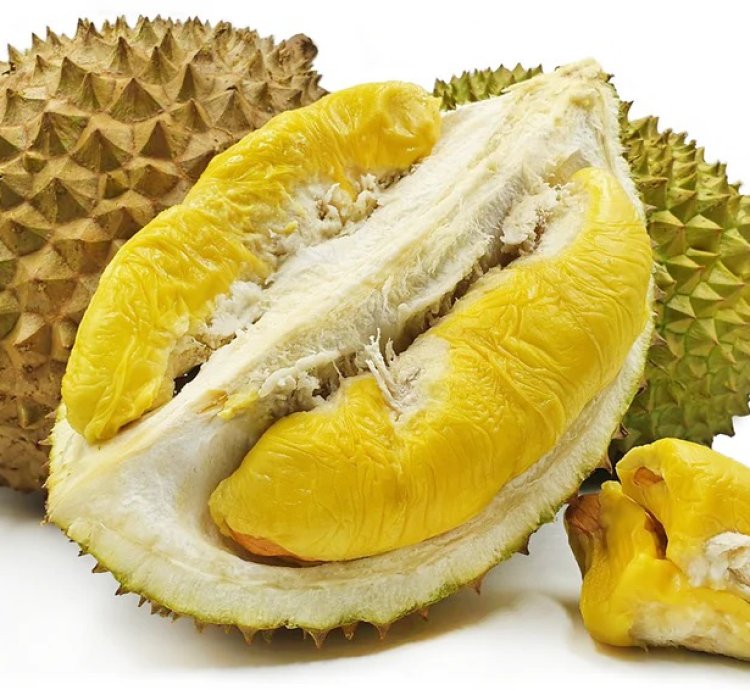 Durian - The Musang King