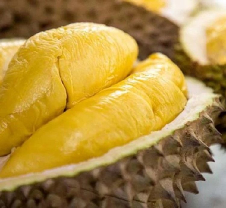 Durian - The Musang King