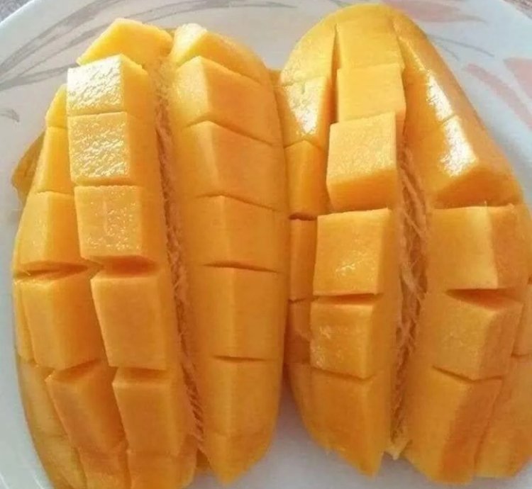 All Other Mango Live Plants (Mangifera indica)