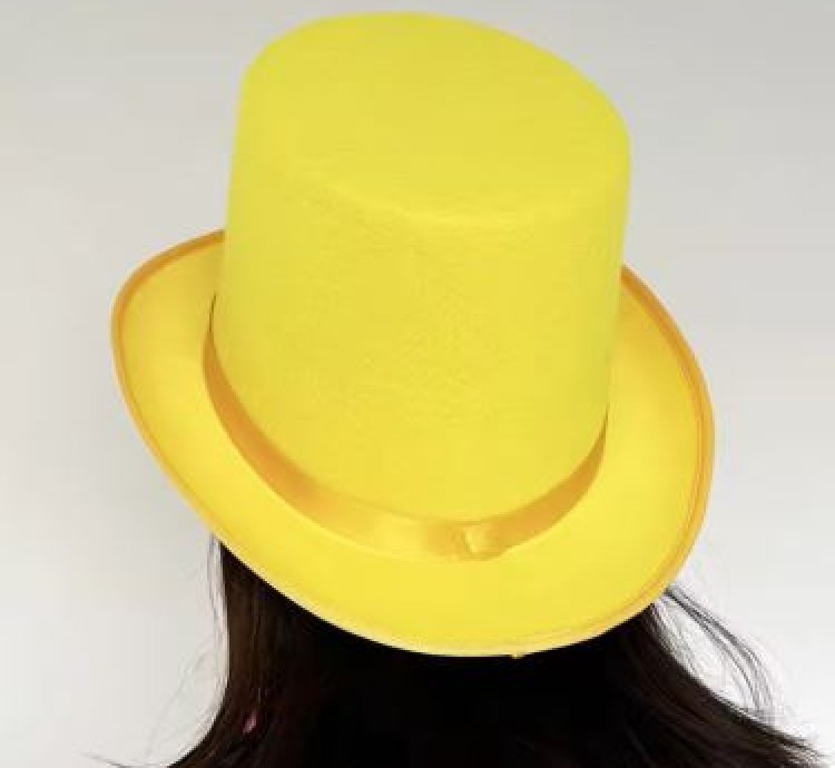 Hat for Gentlemen Magicians Carnivals