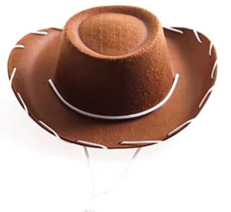 Brown Red Felt Cowboy Hat Western