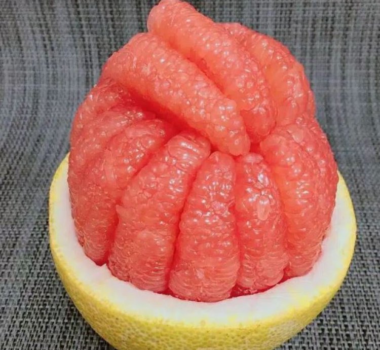 Pomelo Fruit Tree Seedling