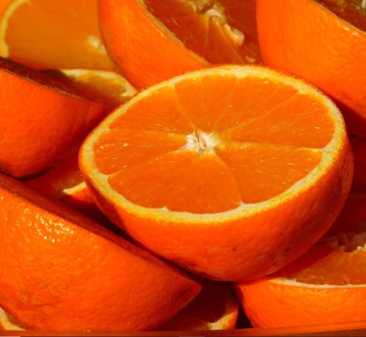 Santang Madu Orange Fruit Tree Seedling