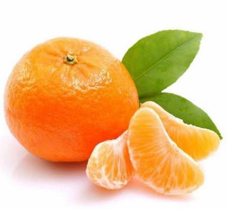 Mandarin Orange Fruit Tree Seedling