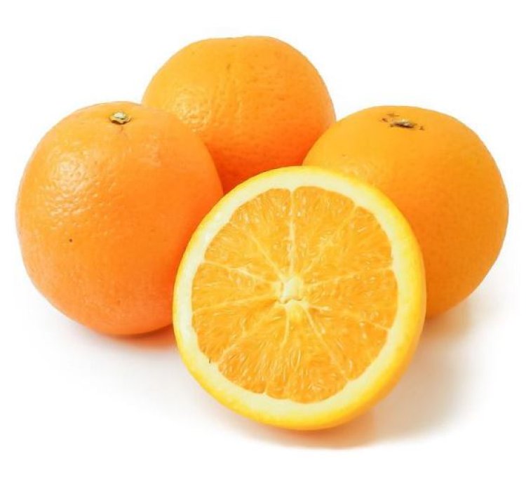 Sunkist Orange Fruit Tree Seedling