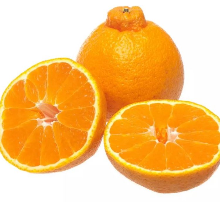 Dekopon Orange Fruit Tree Seedling