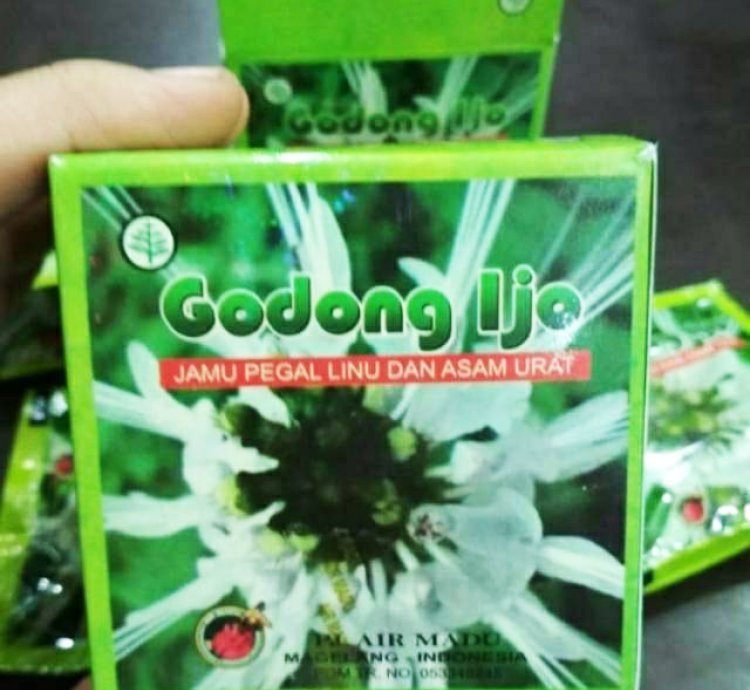 Godong Ijo Capsules For Gout,Chronic Rheumatism, Cholesterol