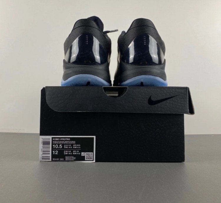 Nike Kobe 5 Protro Year of the Mamba Eggplant