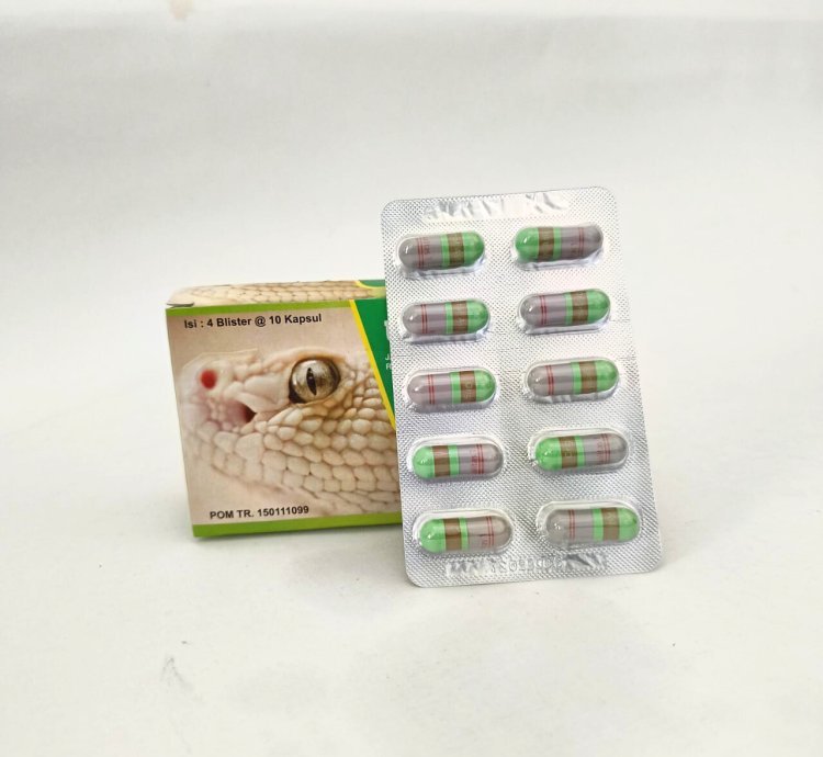 ULAR PUTIH Herbal Capsules – Wild Wasp Honey, Ginseng, Royal Jelly