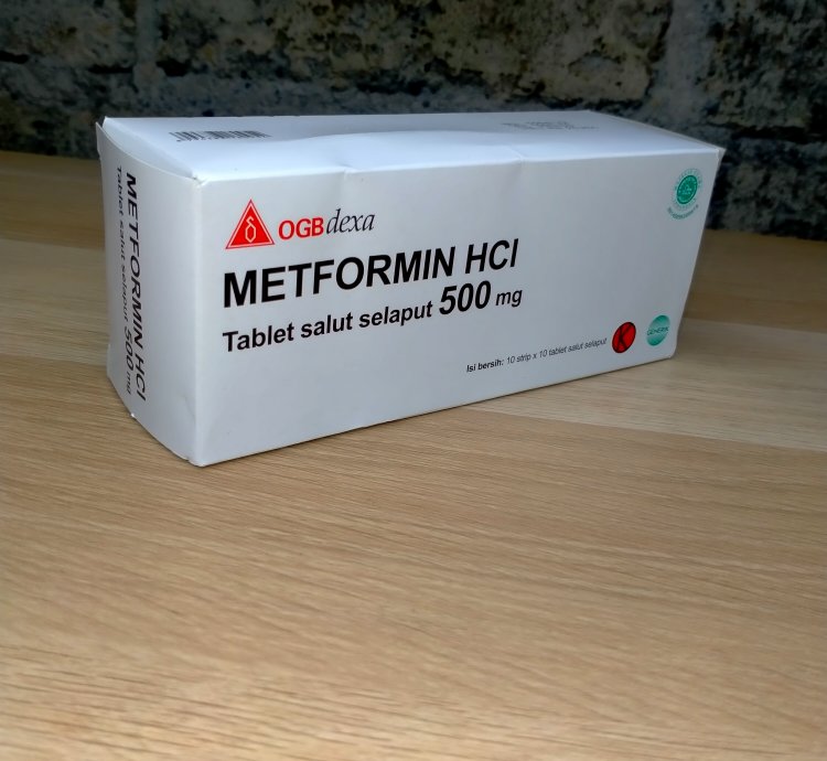 Metformint HCL 500 mg Original Product