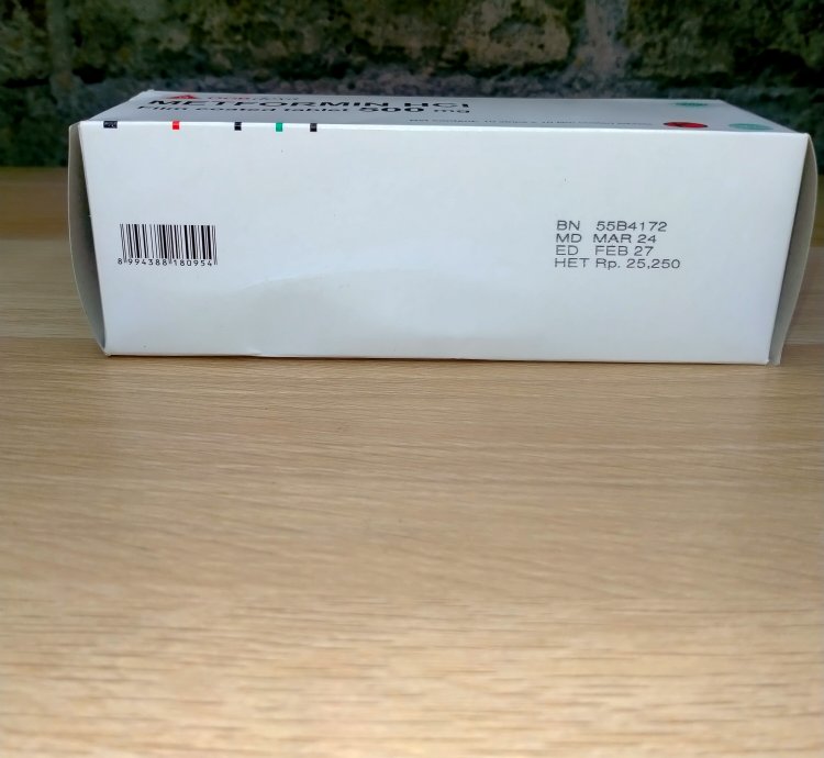 Metformint HCL 500 mg Original Product