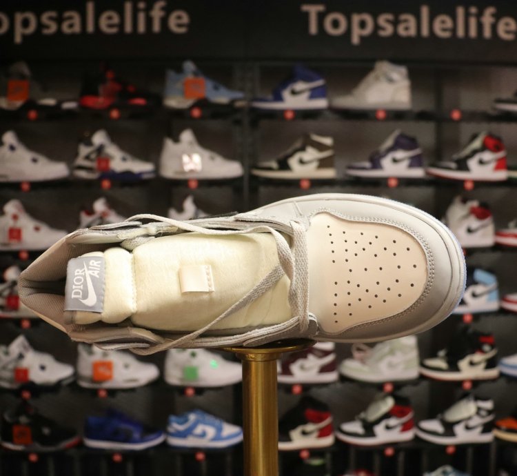 Dior x Air Jordan 1 High OG 'White Wolf Grey'