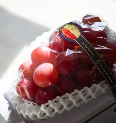 Japanese Ruby Roman Grape Plant - Grafted Premium Luxury Grape Plant
