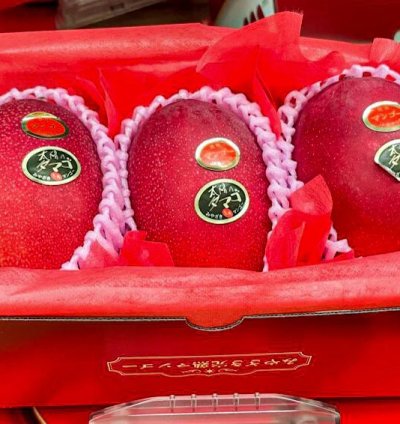 Miyazaki Mango Grafted Live Plant - Premium Taiyo no Tamago - Egg of the sun