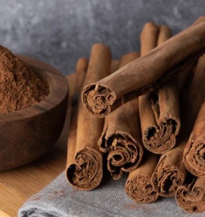 Ceylon Cinnamon Plant