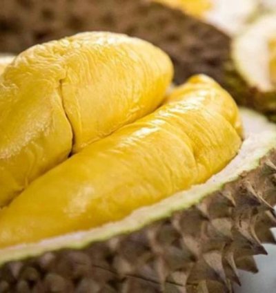 Durian - The Musang King
