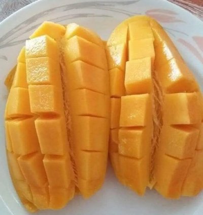 All Other Mango Live Plants (Mangifera indica)