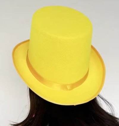 Hat for Gentlemen Magicians Carnivals