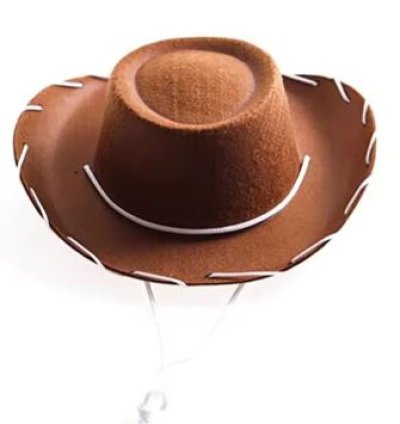 Brown Red Felt Cowboy Hat Western