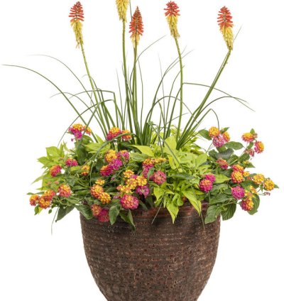 Pyromania Rocket Red Glare Red Hot Poker