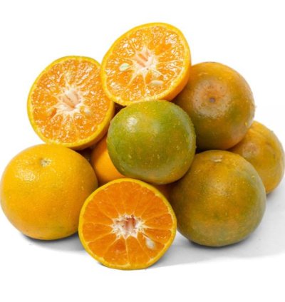 Siam Honey Orange Fruit Tree Seedling