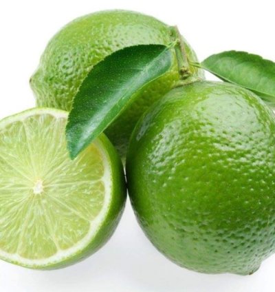 Key Lime (Jeruk Nipis) Fruit Tree Seedling