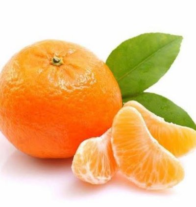 Mandarin Orange Fruit Tree Seedling