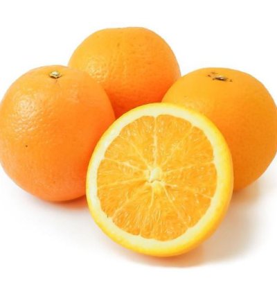 Sunkist Orange Fruit Tree Seedling