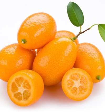 Nagami Orange Fruit Tree Seedling