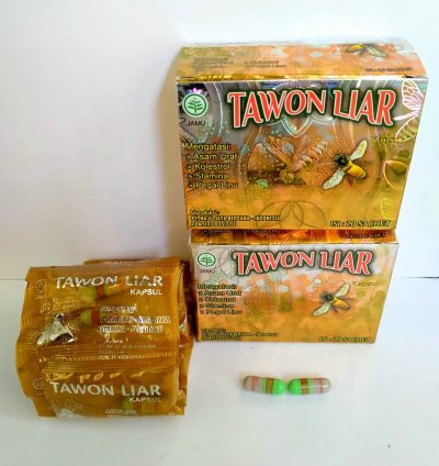 Tawon Liar Capsules Herbal Remedy For Immunity Stamina Joint Health