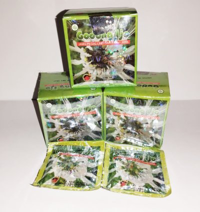 Godong Ijo Capsules – Herbal Remedy for Gout, Cholesterol, Rheumatism