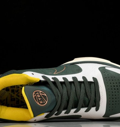 Kobe 5 Protro Eybl