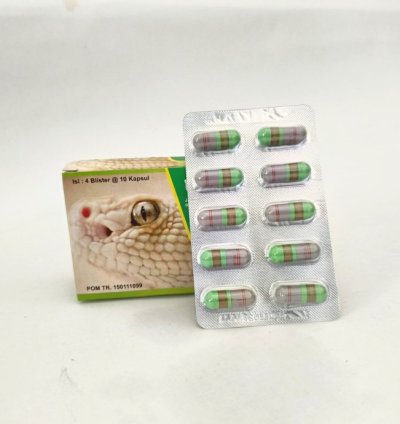 ULAR PUTIH Herbal Capsules – Wild Wasp Honey, Ginseng, Royal Jelly