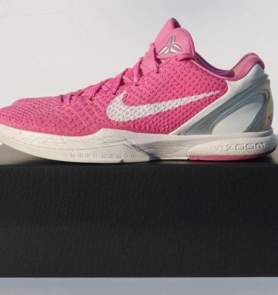 Nike Kobe Protro 6 'Think Pink' DJ3596-600