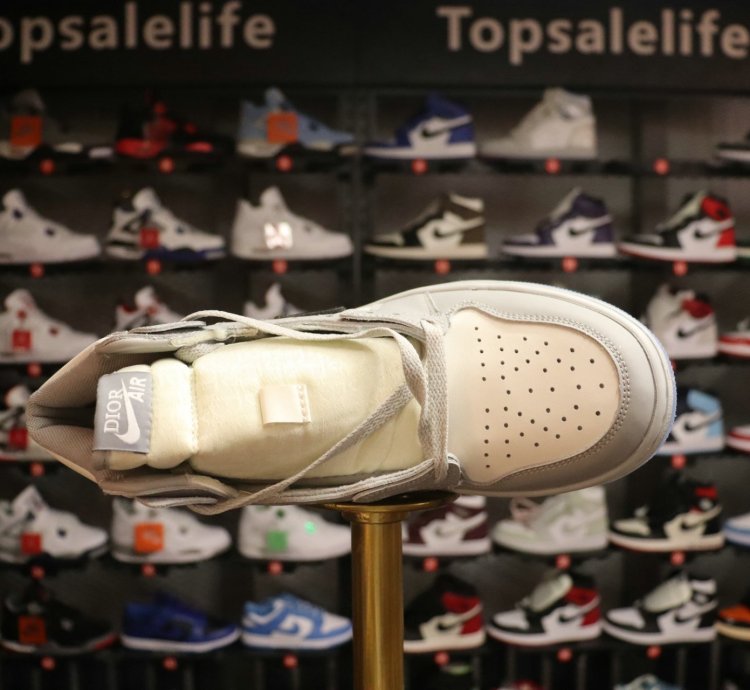 Dior x Air Jordan 1 High OG 'White Wolf Grey'