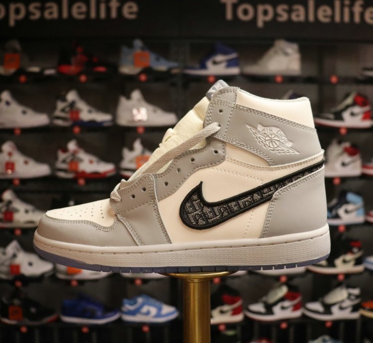 Dior x Air Jordan 1 High OG 'White Wolf Grey'