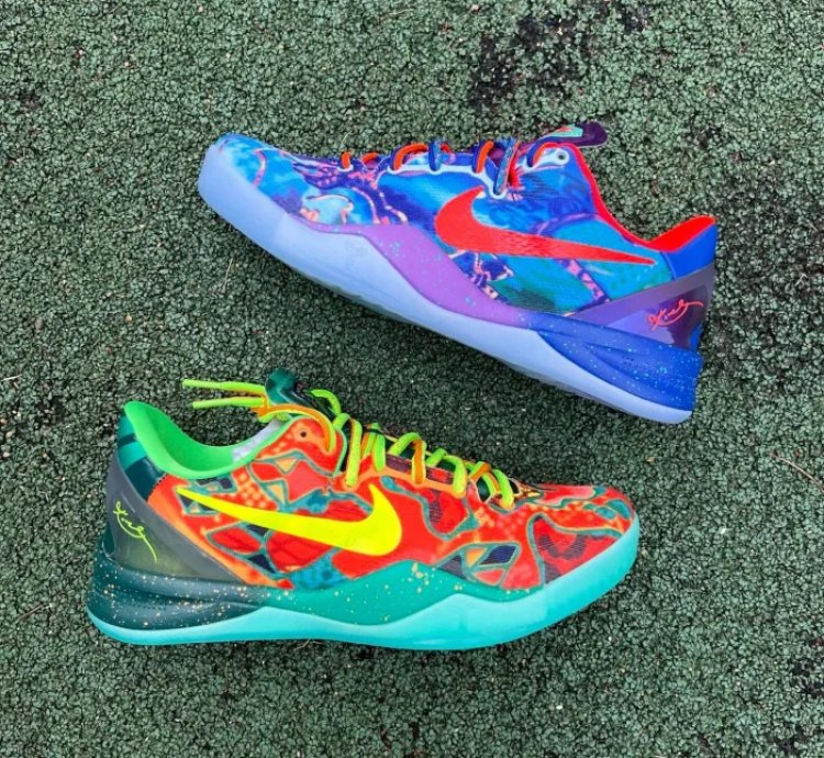 Nike Kobe 8 Protro What The