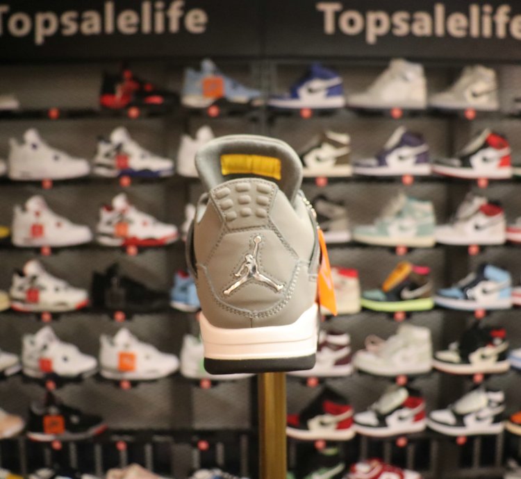 Jordan 4 Retro Cool Grey (2019) 308497-007