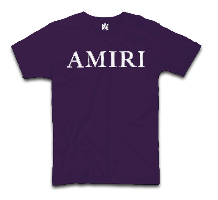 Amiri Core T-Shirt USA
