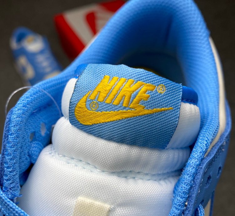 Nike Dunk Low Coast