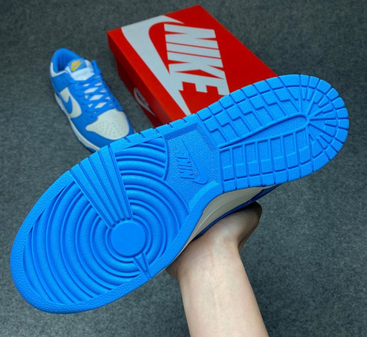 Nike Dunk Low Coast