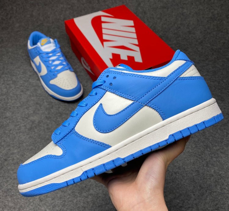 Nike Dunk Low Coast