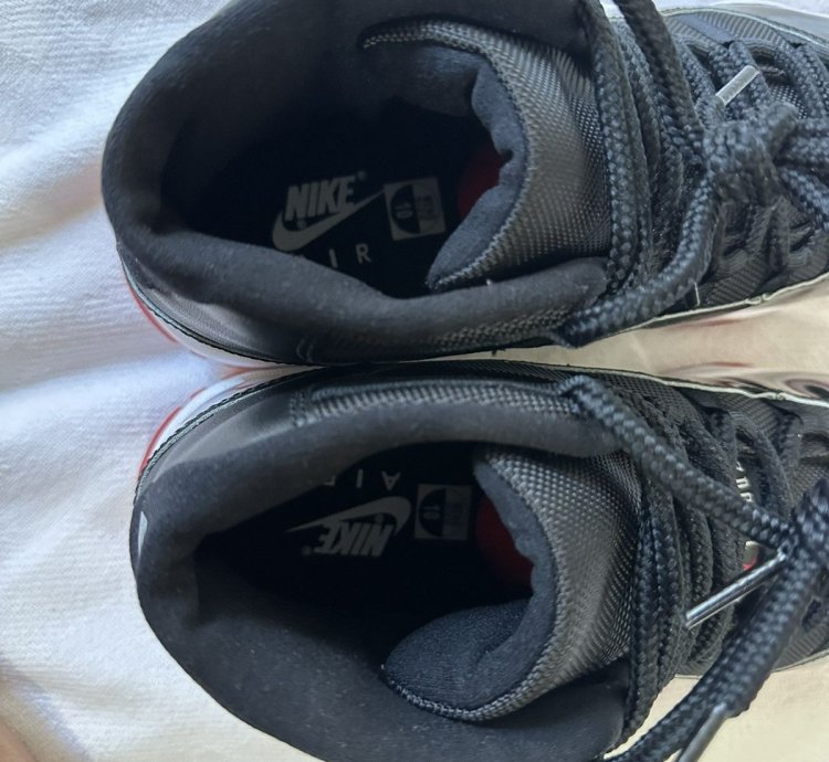 Air Jordan 11 retro bred 2019