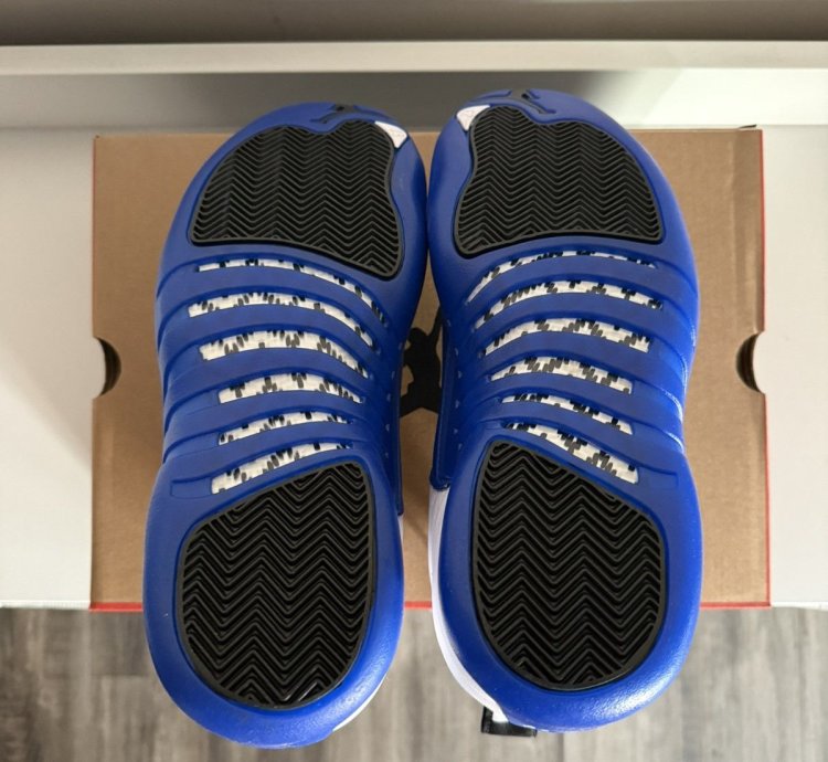 Air Jordan 12 Retro Blueberry