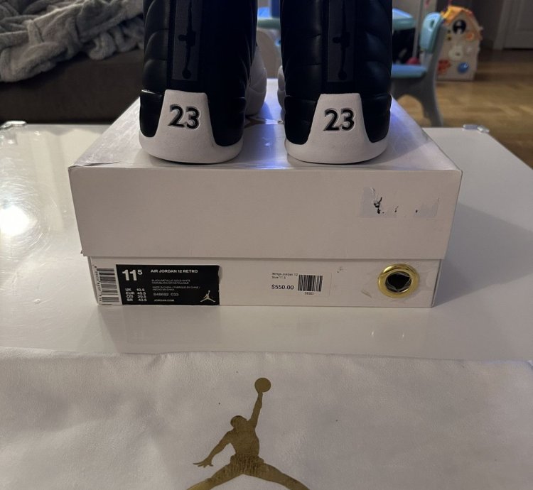 Air Jordan 12 Retro WINGS
