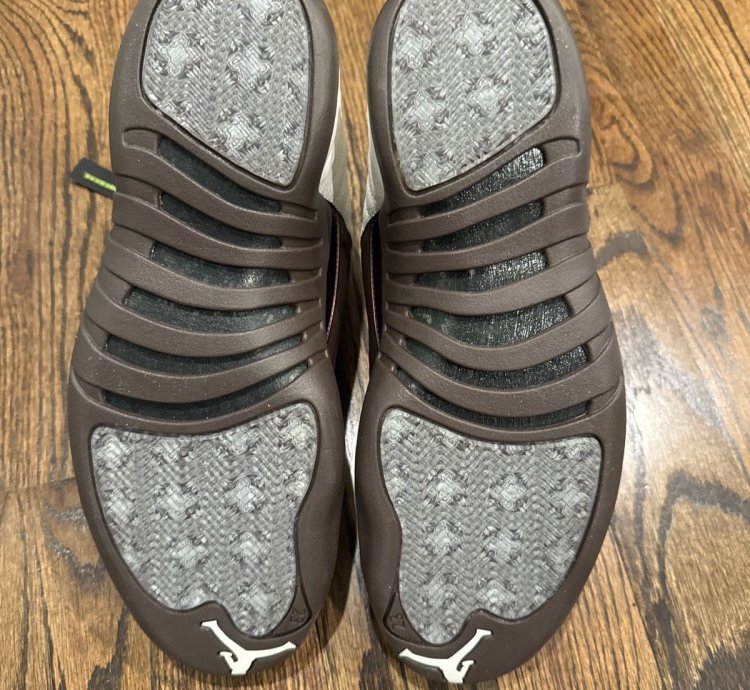 Air Jordan 12 Solefly