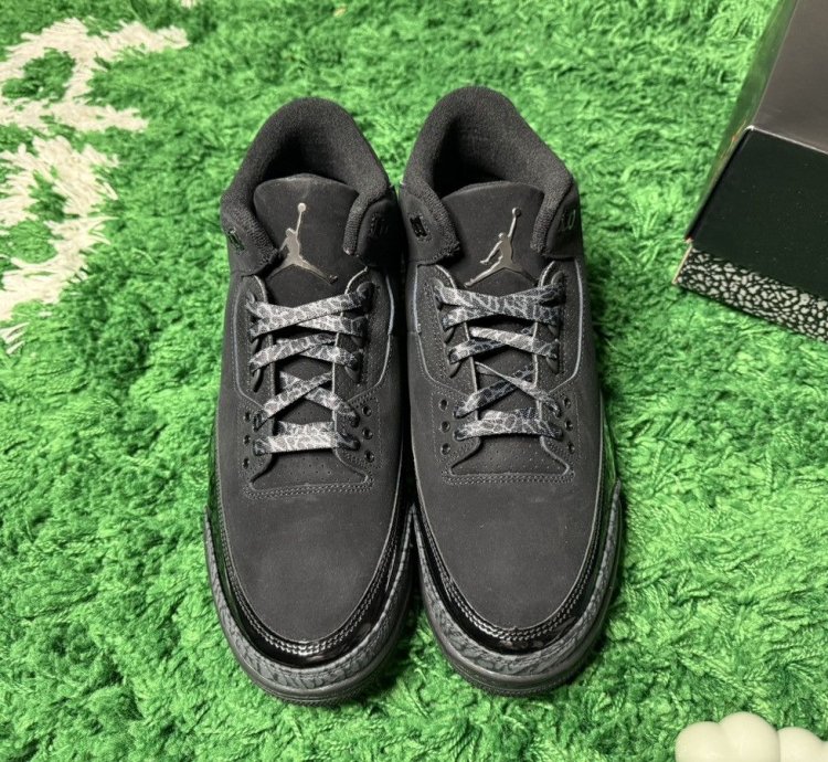 Air Jordan 3 Black Cat 2025