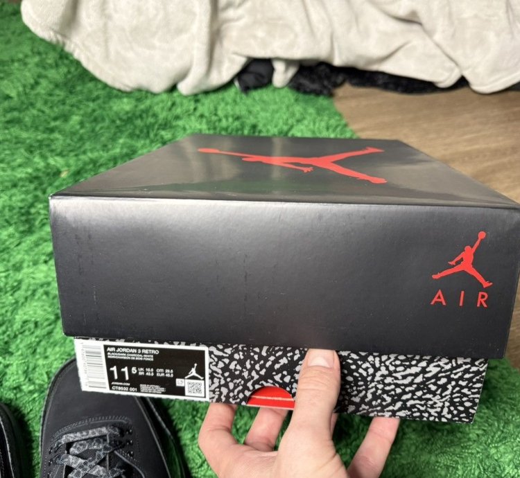 Air Jordan 3 Black Cat 2025